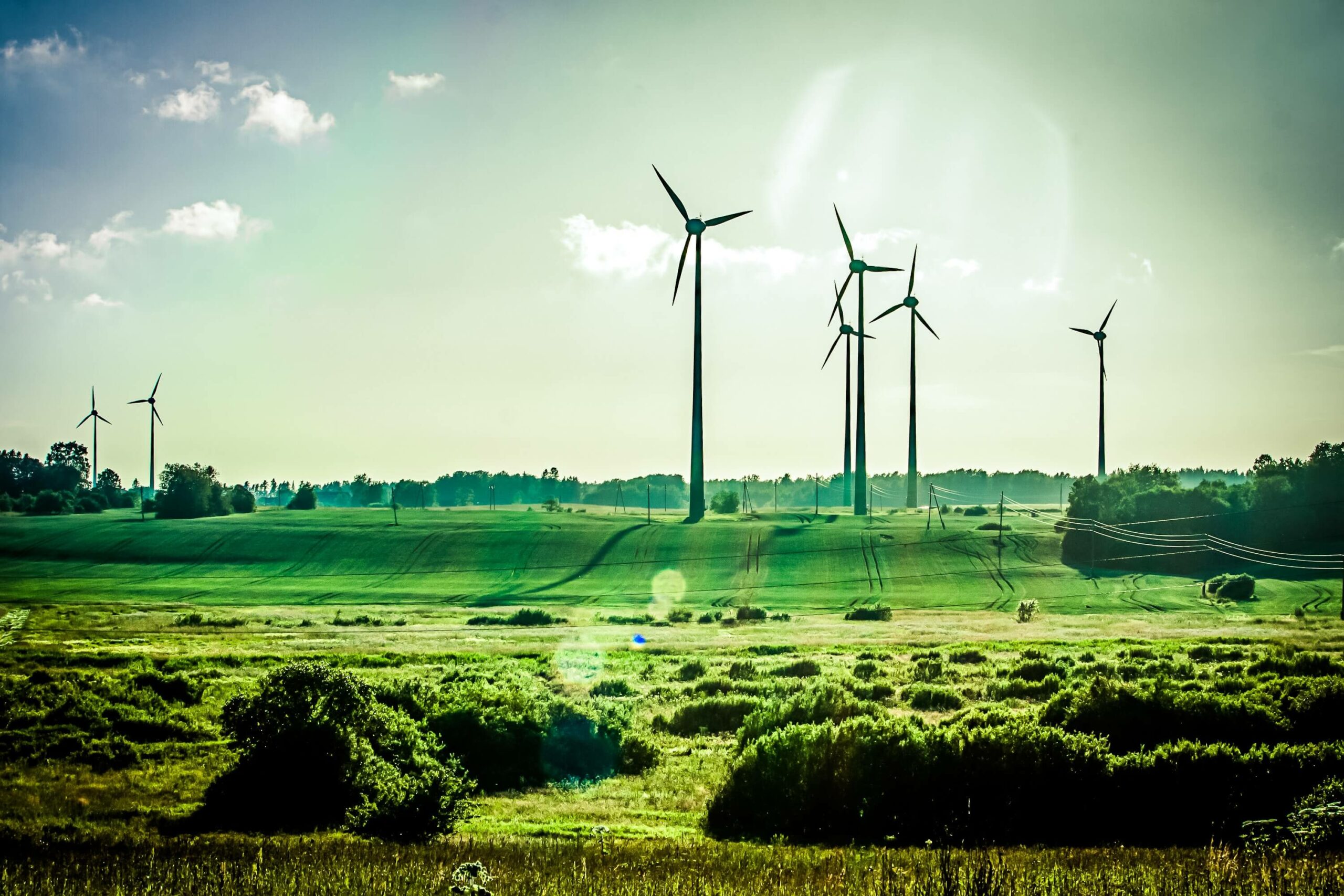 Renewable Energy Transition